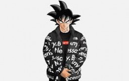 DBS DRIP CHECK