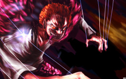 one piece villins