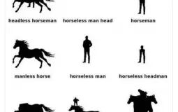 Horse and Man Tier List