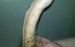 Domados