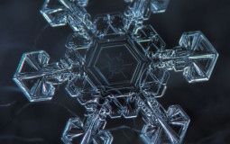 Winter Sports