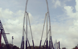 Favourite Coasters