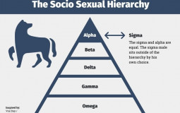 Sigma Alpha People