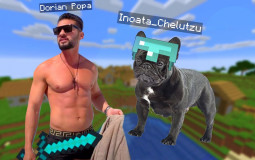 Muzica coaie
