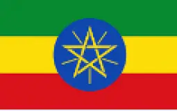 Ethiopian Food and Drink Tier list