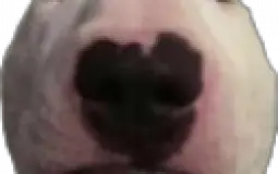 pessoas
