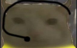mc,cyhgbkmn g