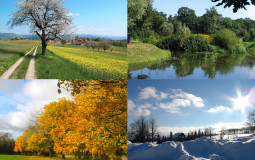 Natural Seasons