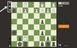Chess variants