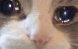 ppl in a server tierlist