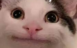 meme