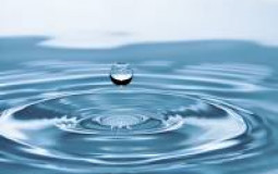 Bottled Water