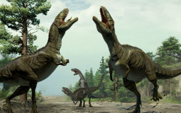 Dinosaurs