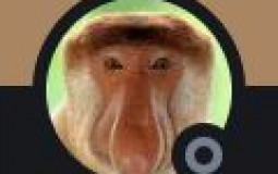 bruh