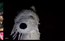 jejt