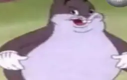 MEMES