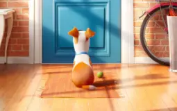 Secret Life Of Pets Smash or Pass