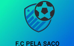 Pela Saco Raking