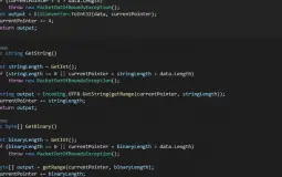 Computer Programming Languages