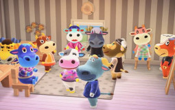 AC cows