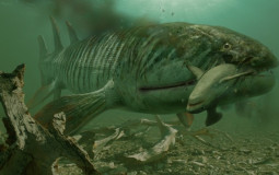 Deadliest Prehistoric Predators