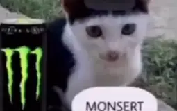 sssssssss