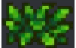 zuube