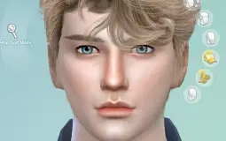Sims bois