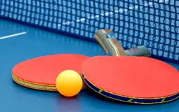 Table tennis players
