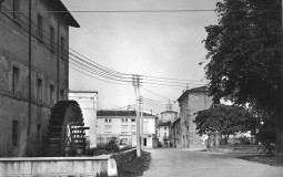 TIER LIST 1998 CASTEL GOFFREDO