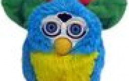 Contest Furbies