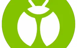 Pokémon Bug Types