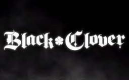 Creatre your own team Black Clover