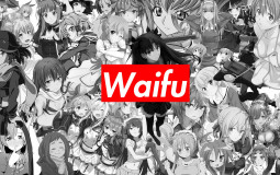 MOMMY WAIFU TIER LIST