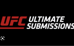 Best UFC submissions of 2022