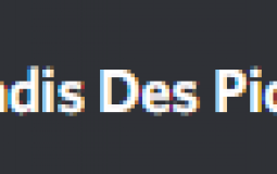 Discord Piou
