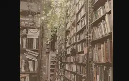 Book series