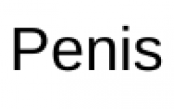 PP names