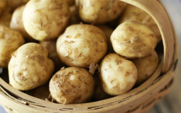Potatoes