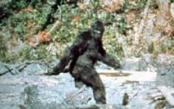 Cryptozoology
