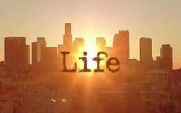 Life Rankings