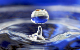 Water