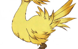 Chocobos!!!