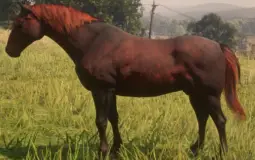 RDR2 Horses