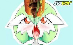 Best Pokemon Waifu's
