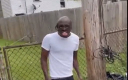 smash or pass