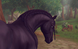 My Star Stable Horse :)