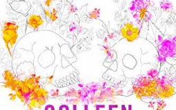 colleen hoover