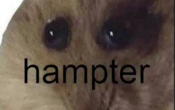 Idk