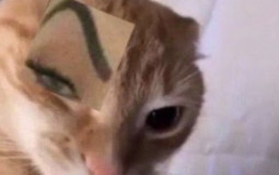 Idk